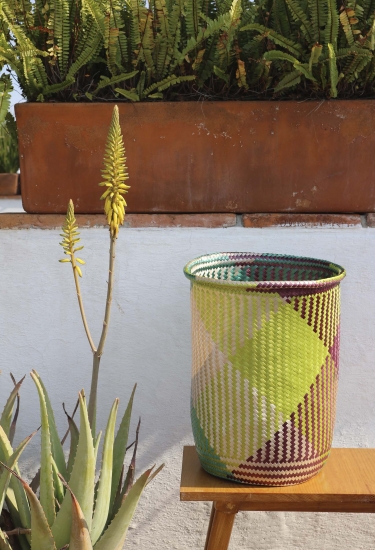 Mimbres Mixtecos