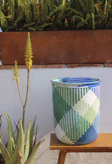 Mimbres Mixtecos